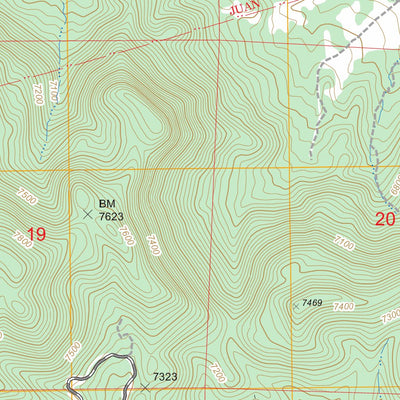 US Forest Service - Topo Chili, NM FSTopo Legacy digital map
