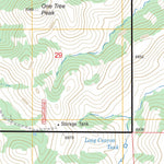 US Forest Service - Topo Chimney Lake, NM FSTopo Legacy digital map