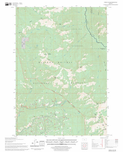US Forest Service - Topo China Cap, OR FSTopo Legacy digital map