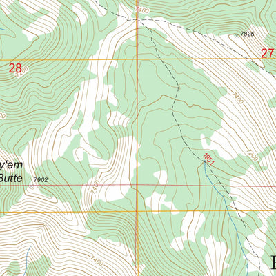 US Forest Service - Topo China Cap, OR FSTopo Legacy digital map