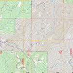 US Forest Service - Topo China Flat, OR FSTopo Legacy digital map
