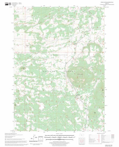 US Forest Service - Topo China Hat, OR FSTopo Legacy digital map