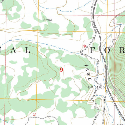 US Forest Service - Topo China Hat, OR FSTopo Legacy digital map