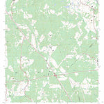 US Forest Service - Topo Chinquapin, TX FSTopo Legacy digital map