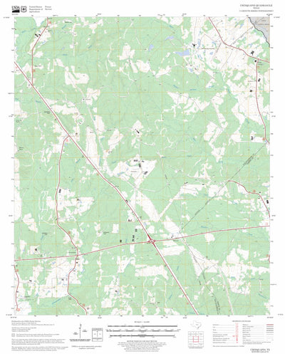 US Forest Service - Topo Chinquapin, TX FSTopo Legacy digital map
