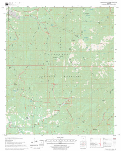 US Forest Service - Topo Chiricahua Peak, AZ FSTopo Legacy digital map