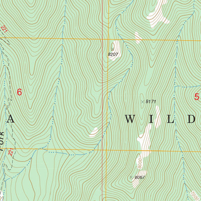 US Forest Service - Topo Chiricahua Peak, AZ FSTopo Legacy digital map