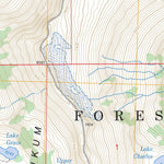US Forest Service - Topo Chiwaukum Mountains, WA FSTopo Legacy digital map