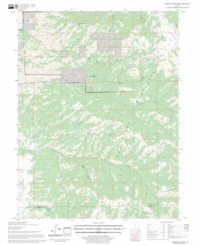 US Forest Service - Topo Chriss Canyon, UT FSTopo Legacy digital map