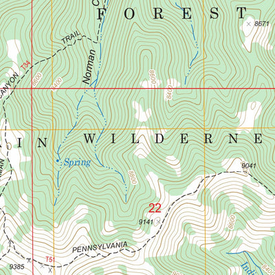 US Forest Service - Topo Church Mountain, NM FSTopo Legacy digital map