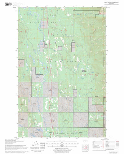 US Forest Service - Topo Cilly Creek, MT FSTopo Legacy digital map
