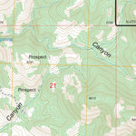 US Forest Service - Topo Circle Mesa, NM FSTopo Legacy digital map