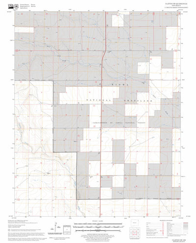 US Forest Service - Topo Clayton SW, NM FSTopo Legacy digital map