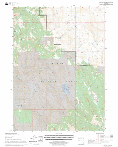 US Forest Service - Topo Clover Flat, OR FSTopo Legacy digital map