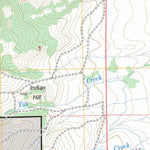 US Forest Service - Topo Coad Mountain, WY FSTopo Legacy digital map