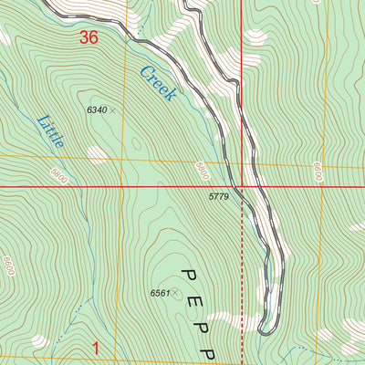 US Forest Service - Topo Cobalt, ID FSTopo Legacy digital map