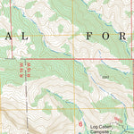 US Forest Service - Topo Cobblestone Mountain, CA FSTopo Legacy digital map