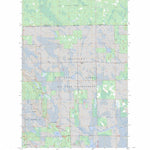 US Forest Service - Topo Coddington Lake, MN FSTopo Legacy digital map