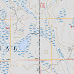 US Forest Service - Topo Coddington Lake, MN FSTopo Legacy digital map