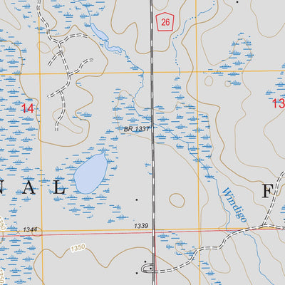 US Forest Service - Topo Coddington Lake, MN FSTopo Legacy digital map