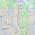 US Forest Service - Topo Coddington Lake, MN FSTopo Legacy digital map