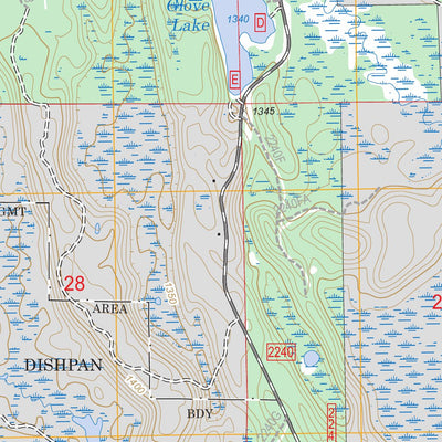 US Forest Service - Topo Coddington Lake, MN FSTopo Legacy digital map