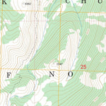US Forest Service - Topo Cold Meadows, ID FSTopo Legacy digital map