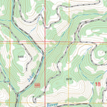 US Forest Service - Topo Cold Spring Summit, ID FSTopo Legacy digital map
