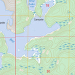 US Forest Service - Topo Coleman Island, MN FSTopo Legacy digital map