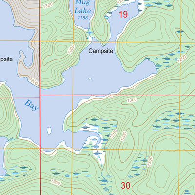 US Forest Service - Topo Coleman Island, MN FSTopo Legacy digital map
