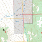 US Forest Service - Topo Coleville, CA FSTopo Legacy digital map