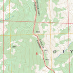 US Forest Service - Topo Coleville, CA FSTopo Legacy digital map