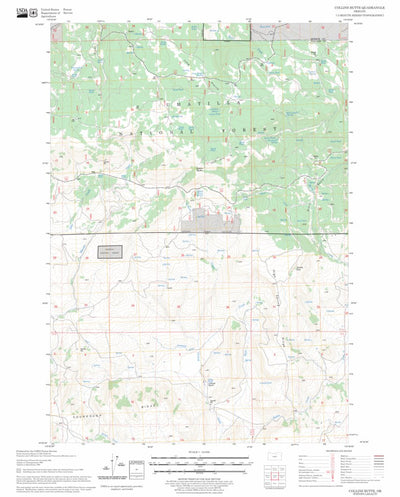 US Forest Service - Topo Collins Butte, OR FSTopo Legacy digital map