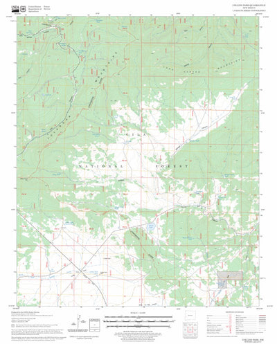 US Forest Service - Topo Collins Park, NM FSTopo Legacy digital map