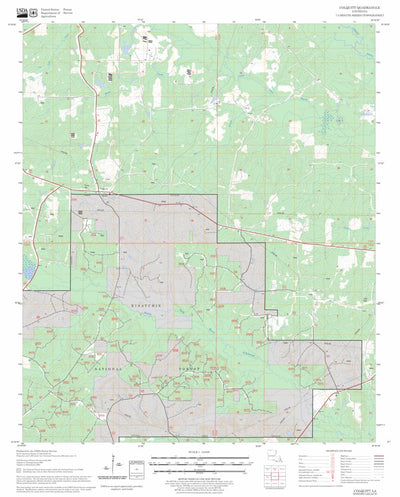 US Forest Service - Topo Colquitt, LA FSTopo Legacy digital map