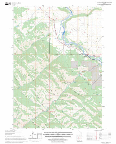 US Forest Service - Topo Conant Valley, ID FSTopo Legacy digital map