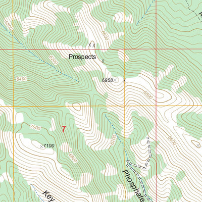 US Forest Service - Topo Conant Valley, ID FSTopo Legacy digital map