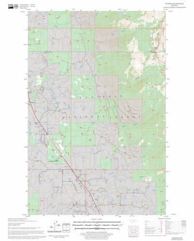 US Forest Service - Topo Condon, MT FSTopo Legacy digital map