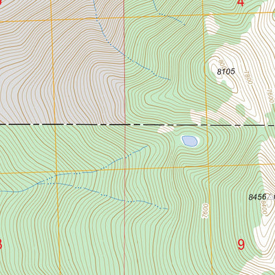 US Forest Service - Topo Condon, MT FSTopo Legacy digital map