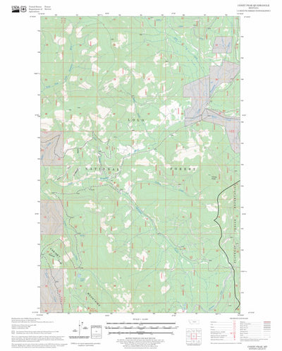 US Forest Service - Topo Coney Peak, MT FSTopo Legacy digital map