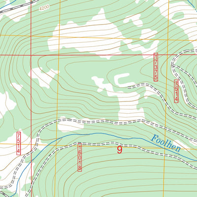 US Forest Service - Topo Coney Peak, MT FSTopo Legacy digital map