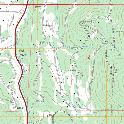 US Forest Service - Topo Conifer, CO FSTopo Legacy digital map