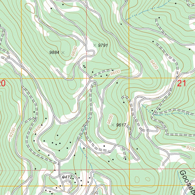 US Forest Service - Topo Conifer, CO FSTopo Legacy digital map