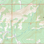 US Forest Service - Topo Continental Divide, NM FSTopo Legacy digital map