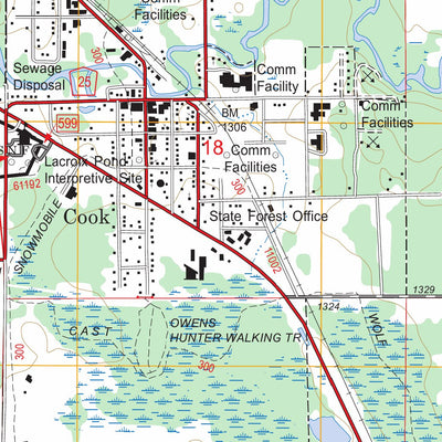 US Forest Service - Topo Cook, MN FSTopo Legacy digital map