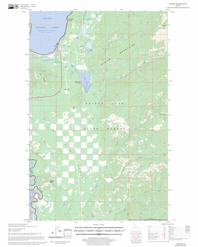 US Forest Service - Topo Coolin, ID FSTopo Legacy digital map