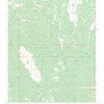 US Forest Service - Topo Cooper Ridge, AZ FSTopo Legacy digital map