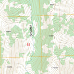 US Forest Service - Topo Copper Basin Knob, ID FSTopo Legacy digital map