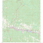 US Forest Service - Topo Copperas Peak, NM FSTopo Legacy digital map