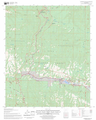 US Forest Service - Topo Copperas Peak, NM FSTopo Legacy digital map